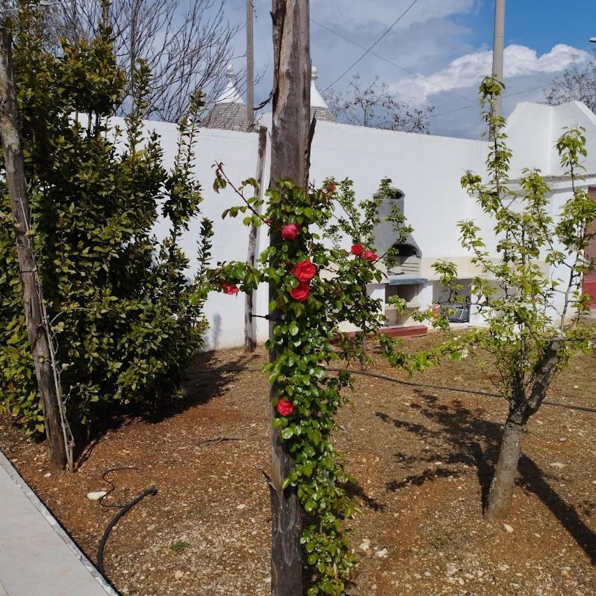 Angolo Di Puglia Locorotondo Exterior foto